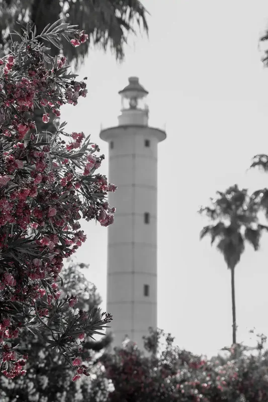 _MG_0114-1