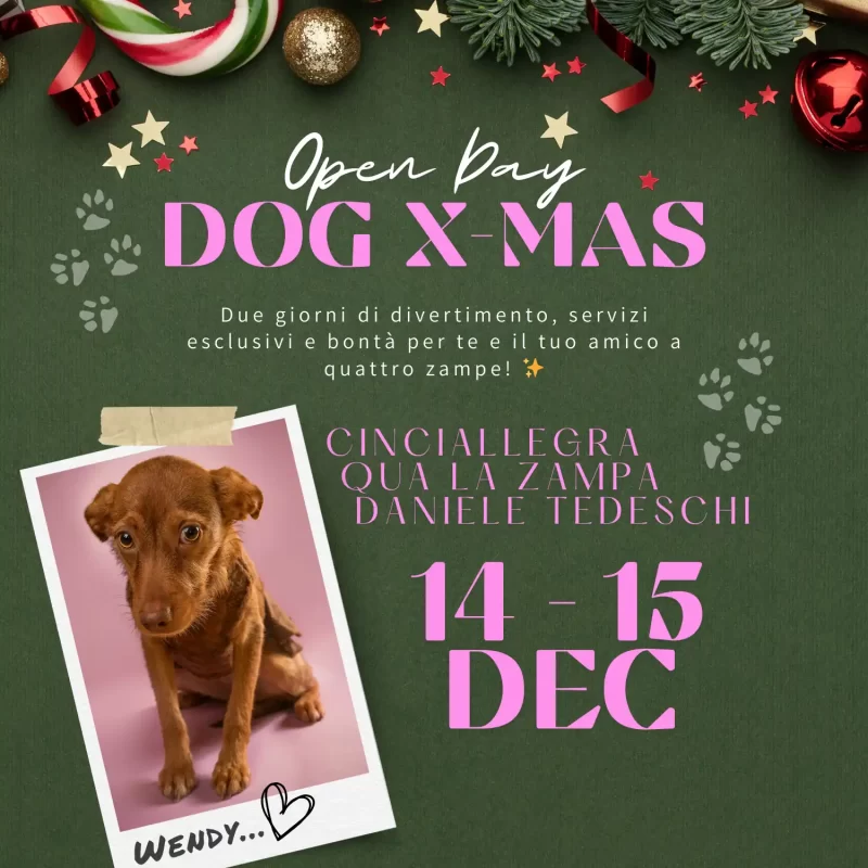 Evento foto cani civitanova - foto1