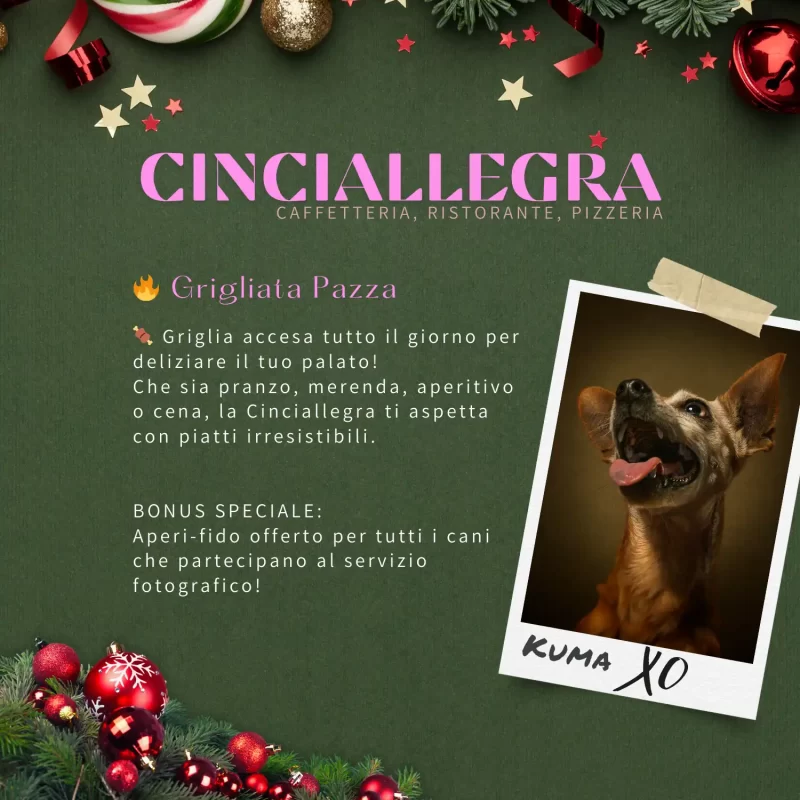 Evento foto cani civitanova - foto2