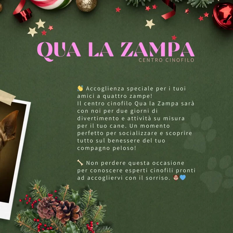 Evento foto cani civitanova - foto3