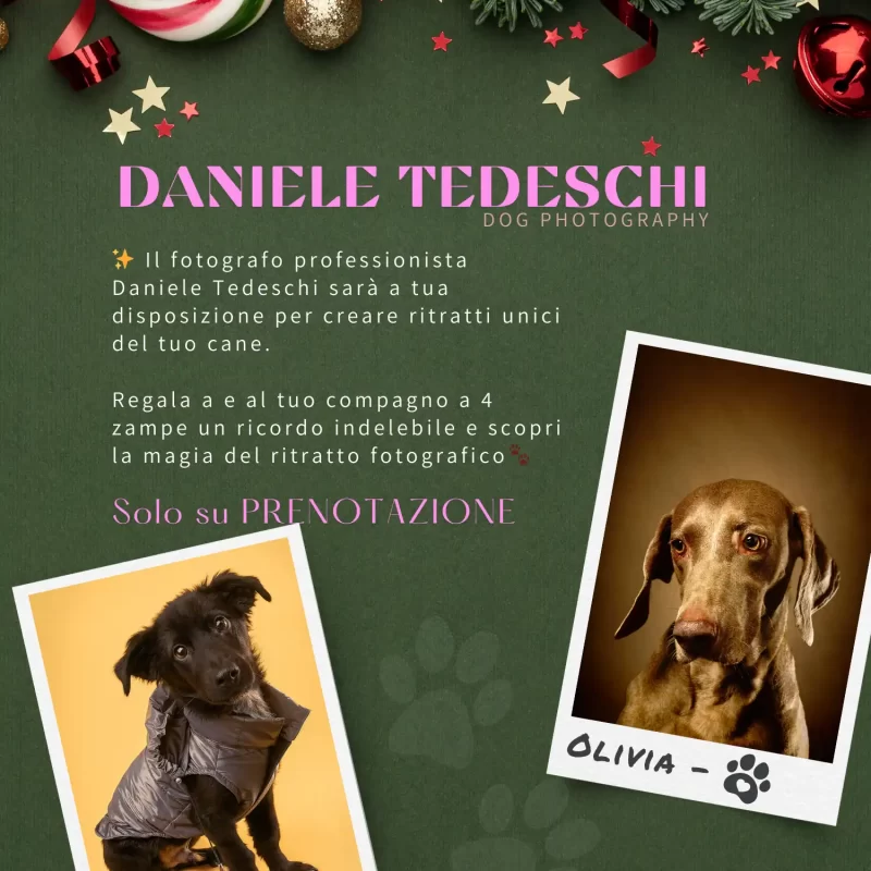 Evento foto cani civitanova - foto4