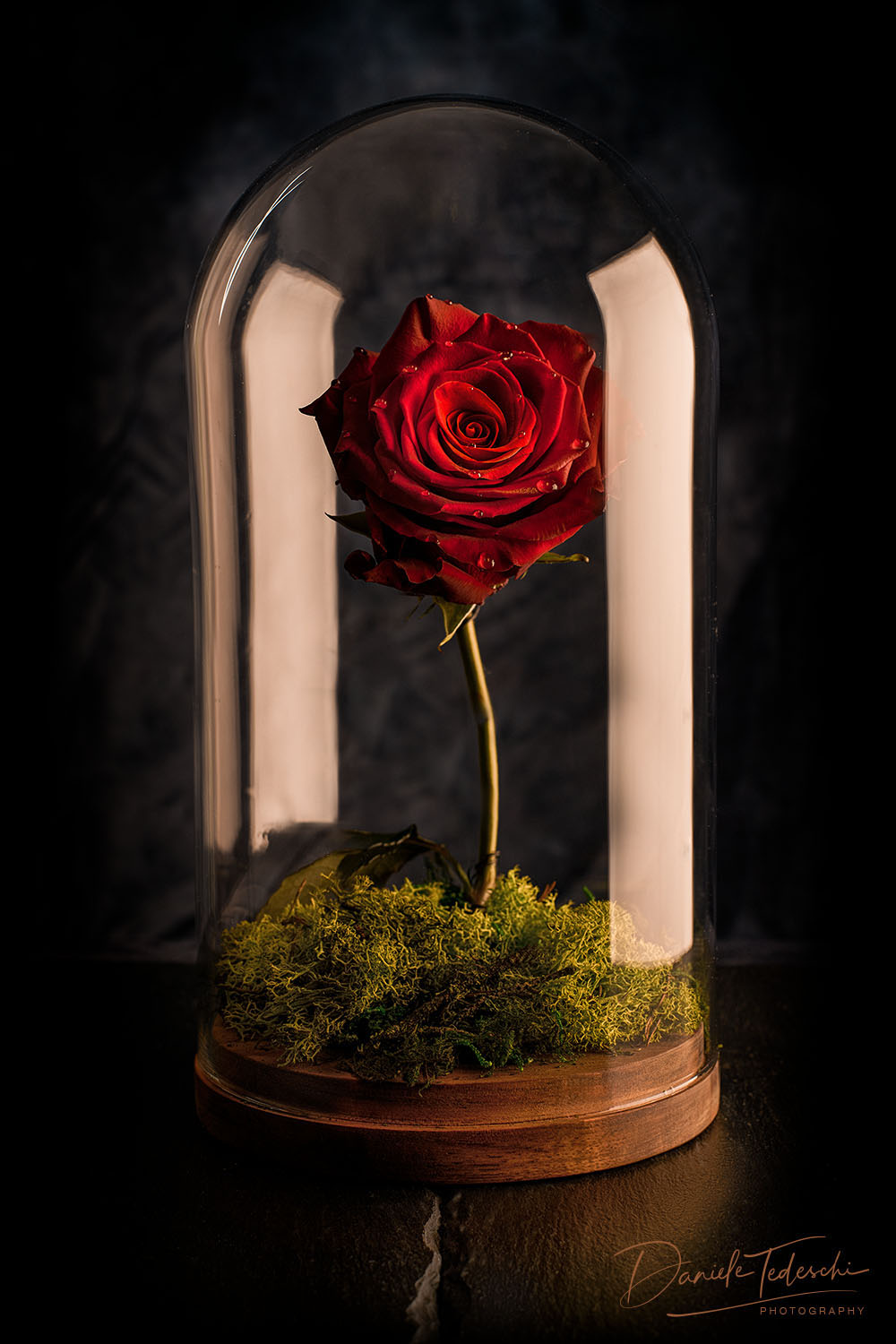 La Belle Rose foto di Daniele Tedeschi